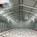 Prefabricated 800M2 10000 pcs steel structure chicken house  poultry farm sheds metal sheds 1000M2 cow steel sheds for Nigeria